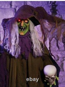 Halloween Witch Lifesize Animated Prop Spooky Lights Sound Party Freestanding
