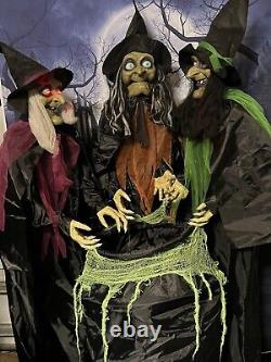 Haunted Hill Farm 3 Animatronic Witches with Cauldron