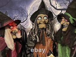 Haunted Hill Farm 3 Animatronic Witches with Cauldron