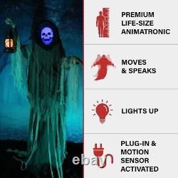 Haunted Hill Farm 76 Motion-Activated Looming Phantom, Plug-in Talking Hallowee