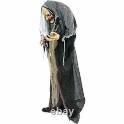 Haunted Hill Farm HHWITCH-13FLSA Life Size Animatronic Witch Indoor/Outdoor H