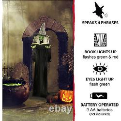 Haunted Hill Farm Life-Size Animatronic Witch, Indoor/Outdoor Halloween