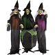 Haunted Hill Farm Life-size Animatronic Witches, Indoor/outdoor Halloween