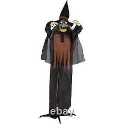 Haunted Hill Farm Life-Size Animatronic Witches, Indoor/Outdoor Halloween