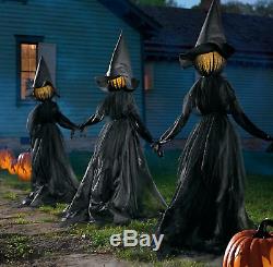 Holding Hands Witches, Set of Three Outdoor/Indoor Halloween Decor (59 x 71)