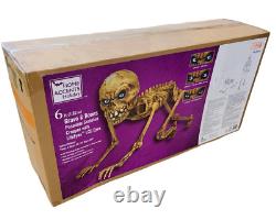 Home Accent 2022 Halloween 6ft Poseable Skeleton Creeper LCD Eyes Same Day Ship