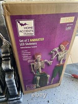 Home Accents Holiday Home Depot Pirate Skeleton Halloween