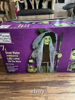 Home Depot Halloween Lethal Lily The Witch Animated Prop (as Is)