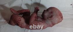 Horror movie prop silicone Dead baby gore goth freakshow weird Spooky Halloween