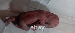 Horror movie prop silicone Dead baby gore goth freakshow weird Spooky Halloween