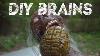 How To Make Realistic Brains Easy Diy Halloween Prop