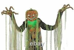 Huge 7-Ft ANIMATED ROOT OF EVIL Pumpkin Head Scarecrow Halloween Prop Decoration
