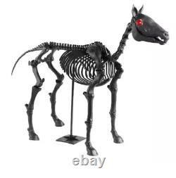 In Hand! 5.5 ft LED Skeleton Pony Halloween Home Depot 2024 Home Accents Prop