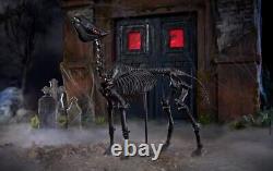 In Hand! 5.5 ft LED Skeleton Pony Halloween Home Depot 2024 Home Accents Prop