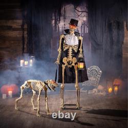 LIFE SIZE Animated Dapper Skeleton Dog Halloween Prop Haunted House Animatronic