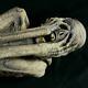 Lifesize 5' Latex Ancient Mummy Alien Corpse Spirit Halloween Prop Haunted House