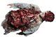 Leftovers Half Cut Off Severed Body Prop Halloween Gory Bloody Zombie Attack