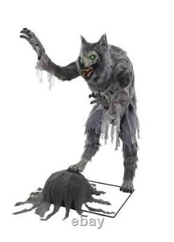Life Size 64 Ravenging Were Wolf Creature Animated Sounds Halloween Haunt Prop