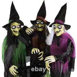 Life-Size Animatronic Witches Indoor/Outdoor Halloween Decoration Light-up Eyes
