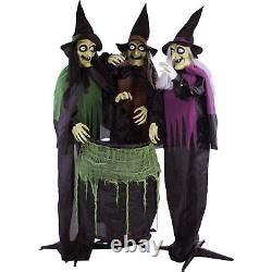 Life-Size Animatronic Witches, Indoor/Outdoor Halloween Decoration Light-up Eyes