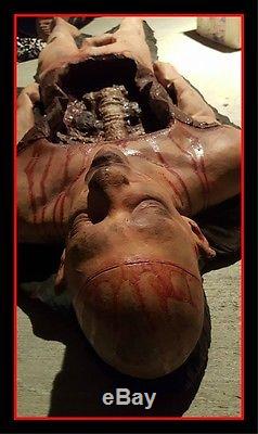 Life Size Autopsy Body Halloween Prop & Decoration