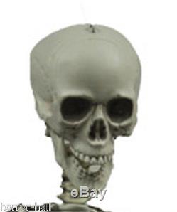 Life Size-BARNEY SKELETON-Human Skull Cheap Halloween Prop Building Decoration