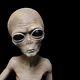 Life Size Roswell Alien Body Specimen Area 51 Prop Halloween Decorations