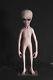 Life-size Roswell Alien Body Specimen Area 51 Prop Halloween Decorations