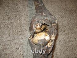Life Size Rotting Corpse (movie Prop)