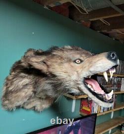 Lifesize Werewolf Lycan Wolf Replica Prop Taxidermy Mount Monster Horror Monster