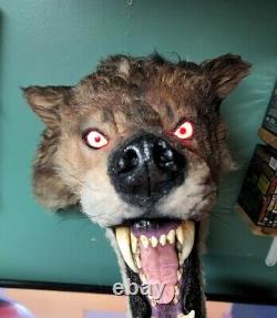 Lifesize Werewolf Lycan Wolf Replica Prop Taxidermy Mount Monster Horror Monster