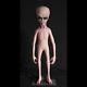 Lot Of 2 Lifesize Ufo Roswell Foam Filled Alien Body Movie Halloween Prop Statue