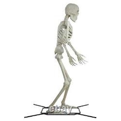 Massive Halloween Skeleton Decoration, 10 Foot Tall, Giant Haunted House Prop