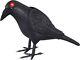 Morris Costumes Animated Crow Prop. Ss89174