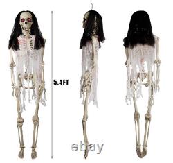NEW 5 Foot ft Ultra Poseable Skeleton (1) SINGLE HALLOWEEN PROP HOME ACCENTS