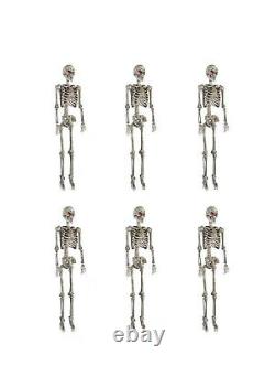 NEW (6) Life Size 5FT Poseable Pitted Skeleton with LED Eyes Halloween Props