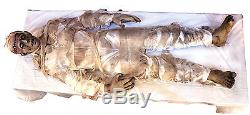 NEW Halloween Life Size IT LIVES MUMMY PROP Haunted House