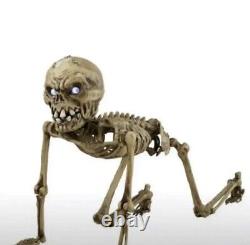 NEW Home Depot Accents Halloween Creeper 6 ft Poseable Skeleton Life LCD Eyes
