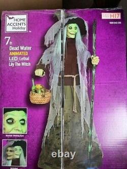 NEW IN BOX Home Accents Holiday 7 Ft. Animated Lethal Lily Witch FREE SHIPPING