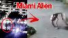 Neue Alien Miami Videos Aufgetaucht Portale U0026 Augenzeugen Update Mythenakte