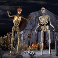 New 12 Foot Giant Inferno Pumpkin Skeleton LCD Eyes Halloween Home Depot Houston