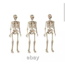 New 5 FT LED Ultra Poseable Skeleton Depot Home Accents Holiday 12 Grave & Bones