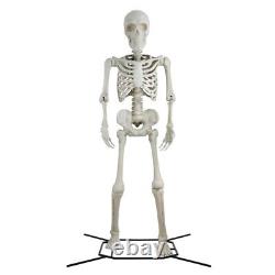 Poseable Giant Skeleton Halloween Outdoor Decorations Way to Celebrate, 10 Feet
