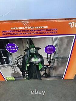 RARE Life Size Witch Greeter 6' Light Up Cackling Sound Gemmy Cauldron Broom