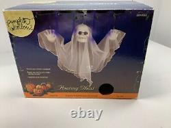 RARE! Pumpkin Hollow 2006 Halloween Floating Ghost Sound and Motion Activated