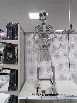 RARE Target Halloween 2023 Hyde & Eek Boutique Animated Skeleton 66 IN-HAND NEW