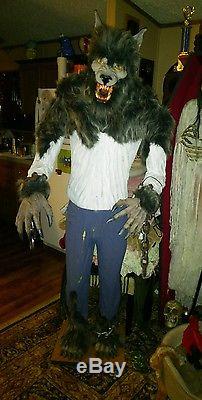 Rare 6ft Shivering Absolutely Wicked Werewolf Halloween Prop