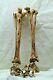 Rare Bucky Skeleton Lower Leg Bones Halloween Prop Hand Painted