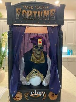 Rare! Hyde And Eek Skeleton Fortune Teller Sound Motion Activated Halloween