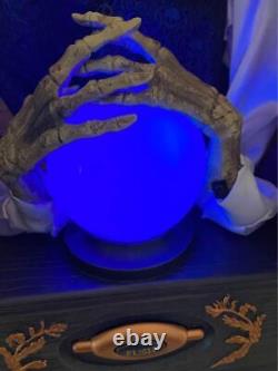 Rare! NEW Hyde And Eek Skeleton Fortune Teller Sound Motion Activated Halloween